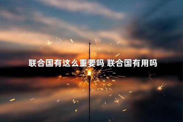 联合国有这么重要吗 联合国有用吗